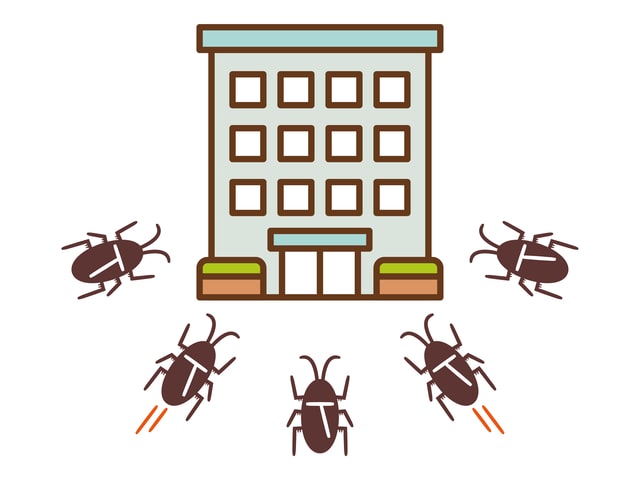 害虫が出やすいマンションの特徴は？今すぐできる害虫対策も紹介！